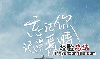 忘记你 记得爱情什么时候更新 忘记你记得爱情每周什么时候播