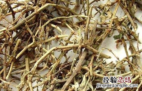 扁蓄的功效与作用 扁蓄的功效与作用剂量