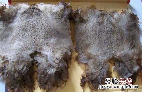 蛤蟆衣的功效与作用