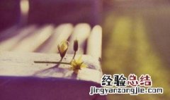 描写幸福的优美句子结尾 关于幸福的优美句子