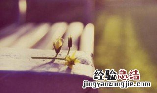 描写幸福的优美句子结尾 关于幸福的优美句子