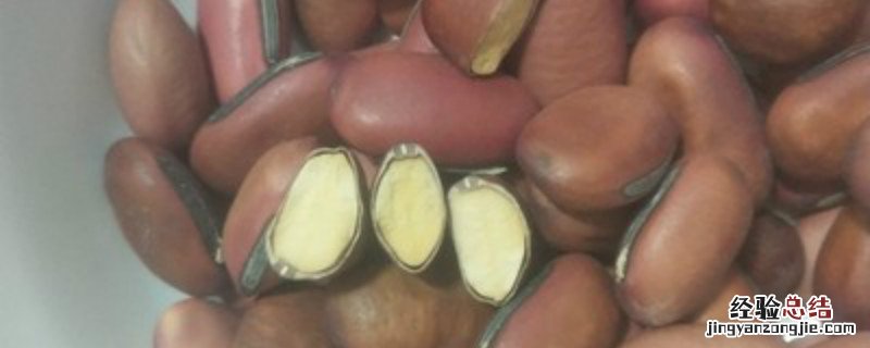 红刀豆种植时间和方法 红刀豆种植技术