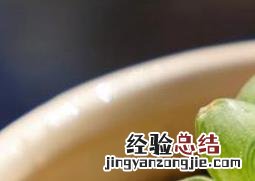 姬玉露怎么养 姬玉露怎么养殖