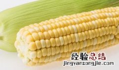 玉米放微波炉会炸吗 熟玉米放微波炉会炸吗