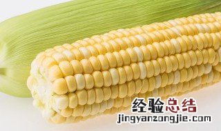 玉米放微波炉会炸吗 熟玉米放微波炉会炸吗