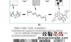 葡萄糖和银氨溶液反应方程式 葡萄糖和银氨溶液反应方程式简述