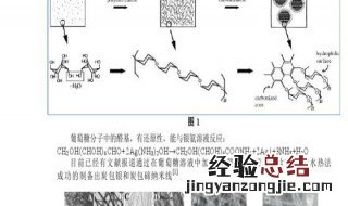 葡萄糖和银氨溶液反应方程式 葡萄糖和银氨溶液反应方程式简述