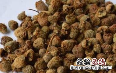 覆盆子营养价值和药用 覆盆子的药用价值是什么