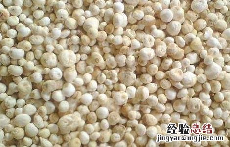 半夏厚朴汤的功效与作用禁忌 半夏厚朴汤的功效与作用