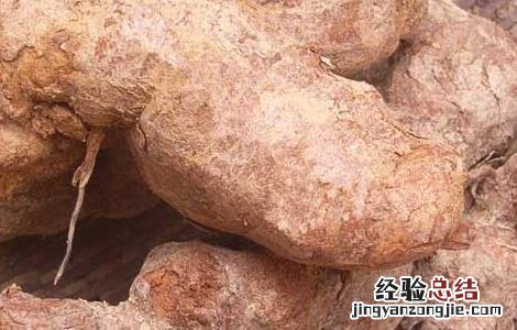 土茯苓有什么副作用 土茯苓有什么副作用和毒性