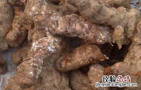 土茯苓有什么副作用 土茯苓有什么副作用和毒性