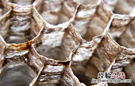 蜂巢泡酒的功效与作用是什么 蜂巢泡酒的功效与作用