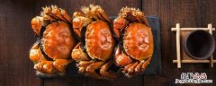 冻蟹不能清蒸吗 冻蟹为什么不能清蒸