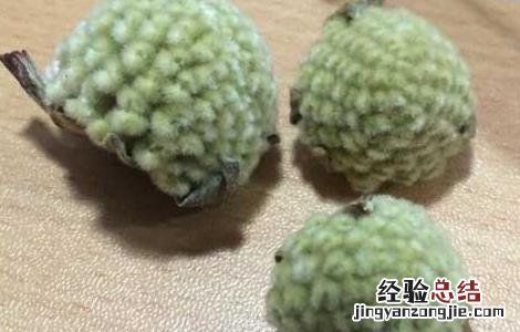 绿萝花的功效与作用 中药绿萝花的功效与作用