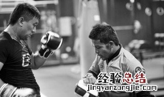 请问自由搏击和综合格斗的区别是什么? 区分自由搏击和综合格斗