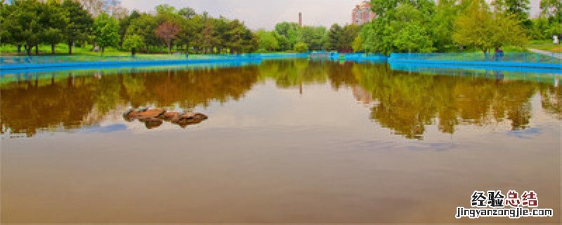 吡丙醚使用方法 吡丙醚使用注意事项