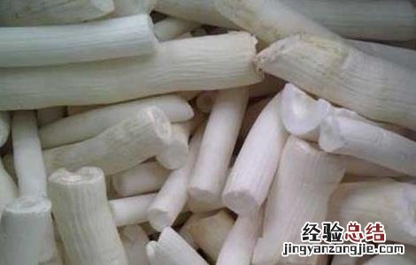 通草的功效与作用图片 通草的功效与作用