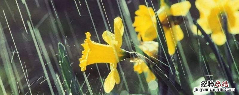 蒙蒙细雨牛毛细雨哪个雨量大 牛毛细雨和蒙蒙细雨哪个雨大