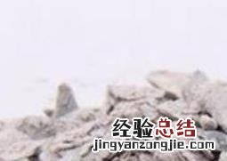 中药生牡蛎和煅牡蛎的区别 生牡蛎和煅牡蛎的区别