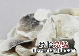 中药生牡蛎和煅牡蛎的区别 生牡蛎和煅牡蛎的区别