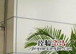 散尾葵和凤尾竹的区别 散尾葵和凤尾竹的区别视频