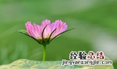 周末愉快的一句话祝福语 周末愉快的一句话祝福