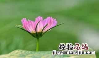 周末愉快的一句话祝福语 周末愉快的一句话祝福