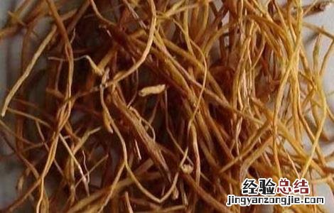 龙胆泻肝汤的功效与作用 龙胆泻肝汤的功效与作用配方