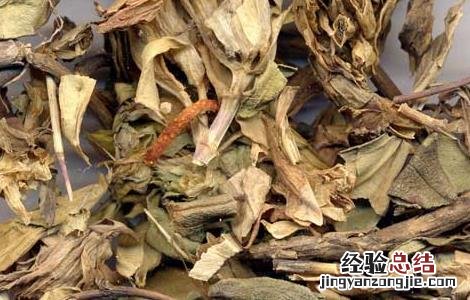 龙胆泻肝汤的功效与作用 龙胆泻肝汤的功效与作用配方