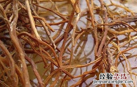 龙胆泻肝汤的功效与作用 龙胆泻肝汤的功效与作用配方