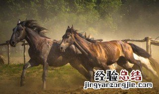 野马尘埃的运动依靠什么 野马尘埃的运动依靠什么,写他们有什么作用