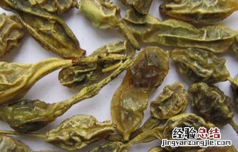 槐角的功效与作用点 槐角的功效和作用
