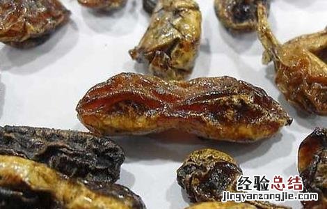 槐角的功效与作用点 槐角的功效和作用
