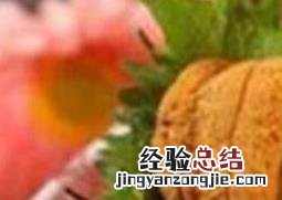 海胆黄酱的食用方法 海胆黄酱的食用方法与禁忌