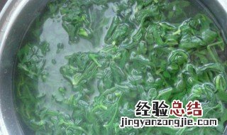 荠菜煮水有什么作用 荠菜煮水喝怎么做