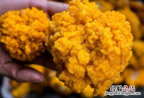 黄金耳的功效与食用方法方式 黄金耳怎么食用