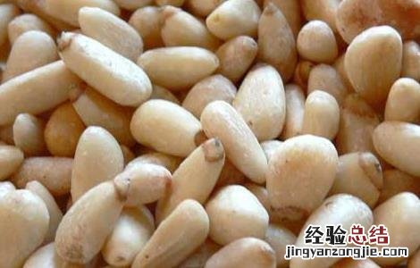 柏子仁的功效与作用 柏子仁的功效与作用及禁忌