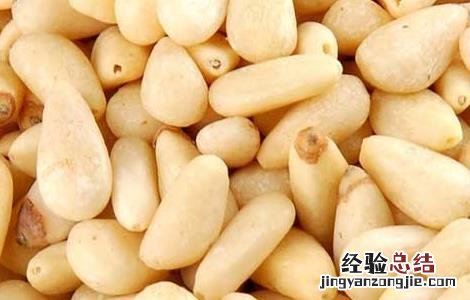 柏子仁的功效与作用 柏子仁的功效与作用及禁忌