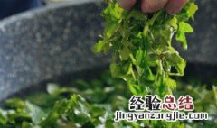 坐月子喝荠菜水有什么作用 月子喝荠菜水的功效与作用