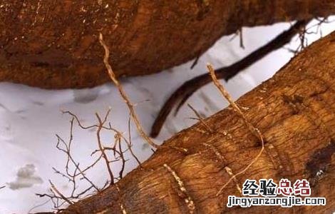 葛根解酒的功效 葛根解酒的功效与禁忌