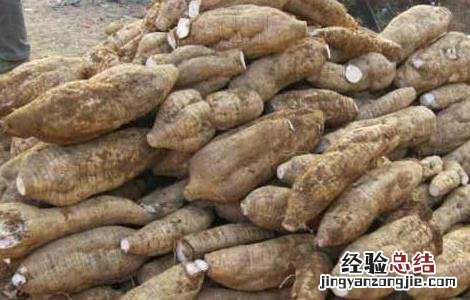 葛根的作用与功效丰胸 葛根的作用与功效