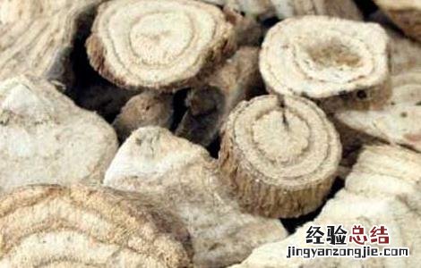 葛根的作用与功效丰胸 葛根的作用与功效