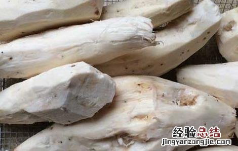 葛根的作用与功效丰胸 葛根的作用与功效