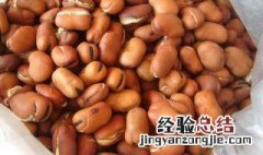 干炒胡豆怎么做好吃窍门 炒干胡豆技巧