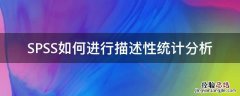 spss怎么做描述性统计分析 SPSS如何进行描述性统计分析