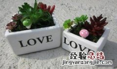 花盆底下的孔有什么作用 花盆底下的孔是什么作用
