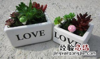 花盆底下的孔有什么作用 花盆底下的孔是什么作用