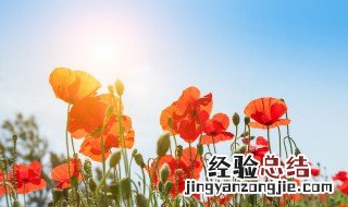 适合发朋友圈的句子女生成熟 关于女生成熟的句子精选