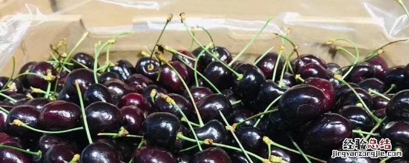 科迪亚车厘子是哪个国家的 科迪亚车厘子是什么品种