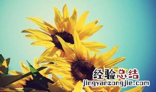 早安说说致自己一句话励志 早安说说致自己一句话